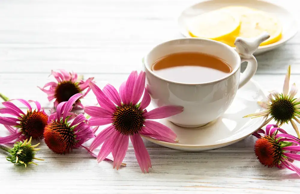 Echinacea and elderberry herbal tea