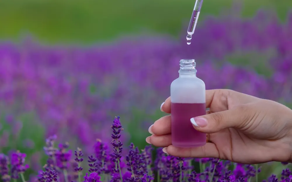 Lavender essential oil