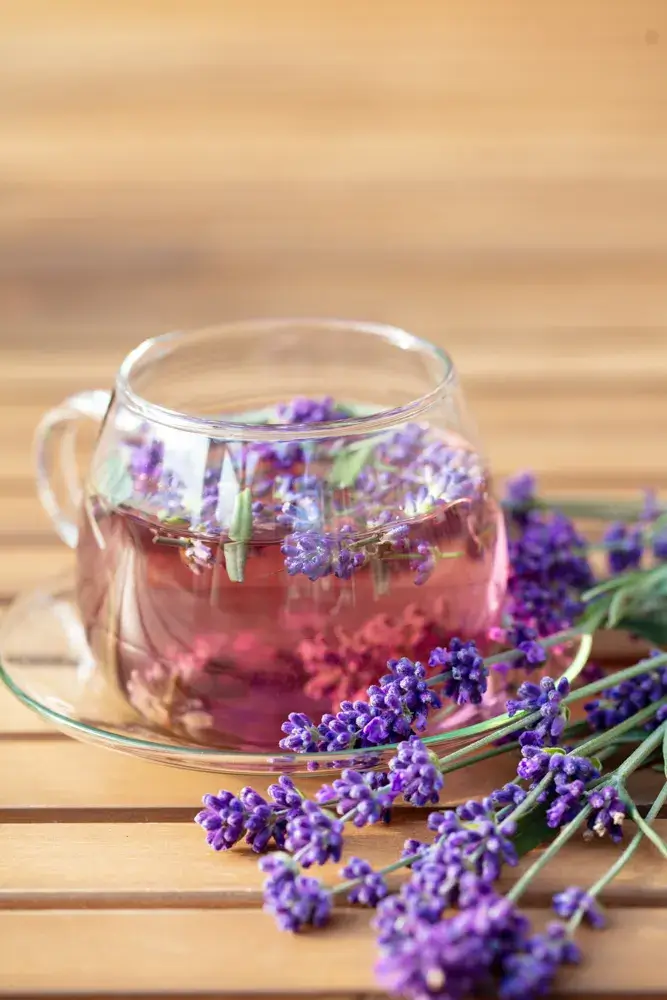 Lavender Tea, Healthy Herbal Teas