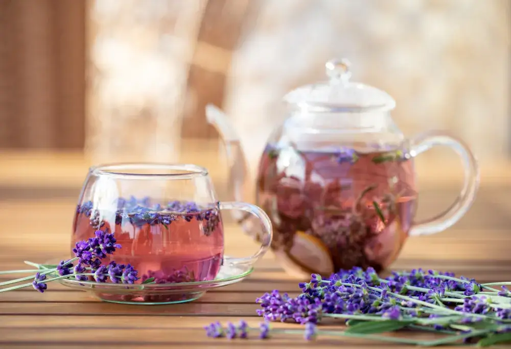 Lavender tea