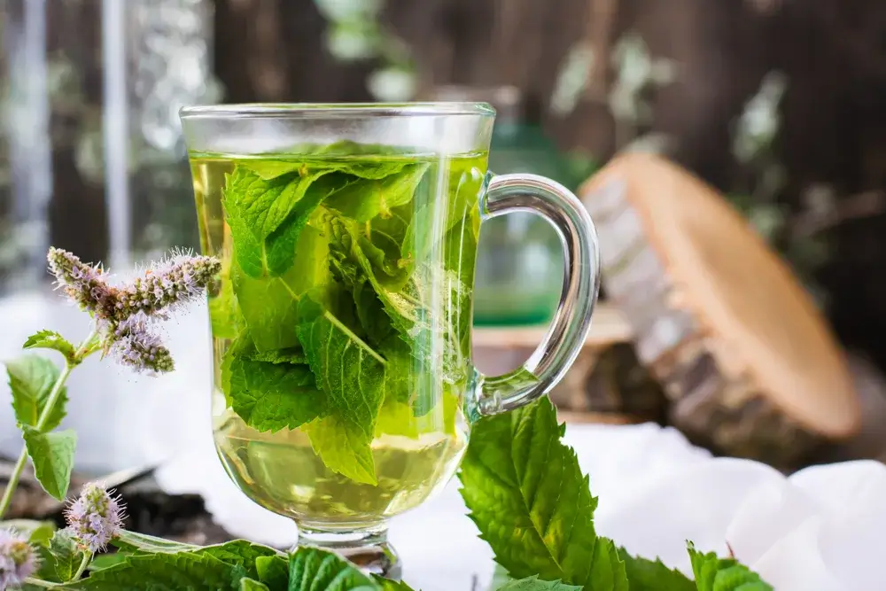 Peppermint and lemon balm tea