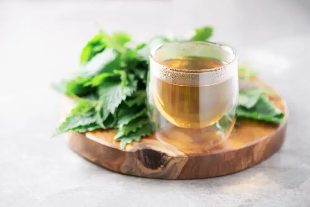 Peppermint and Nettle tea