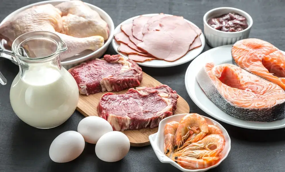 Carnivore diet food list