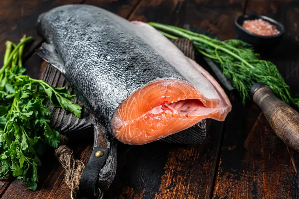 Salmon
