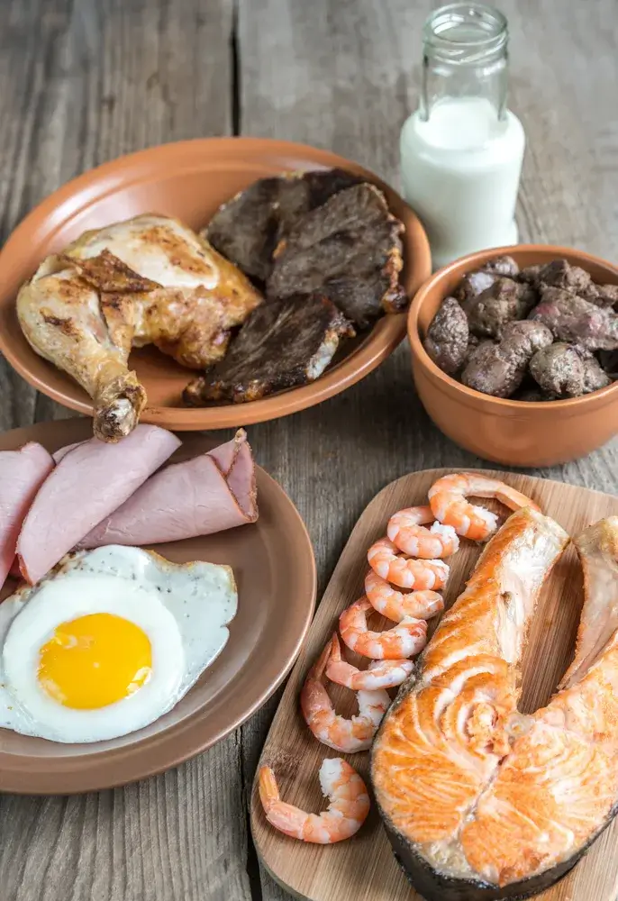 Carnivore diet for women