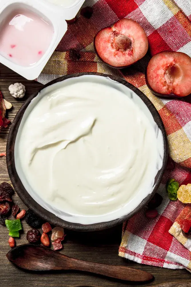 Probiotic yogurt, fermented foods