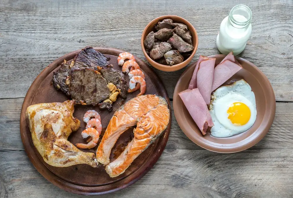 Carnivore diet