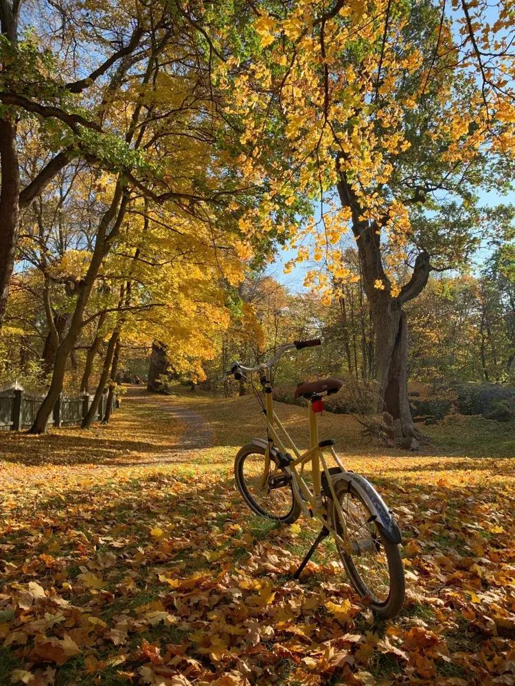 Autumn fun activities, bike riding