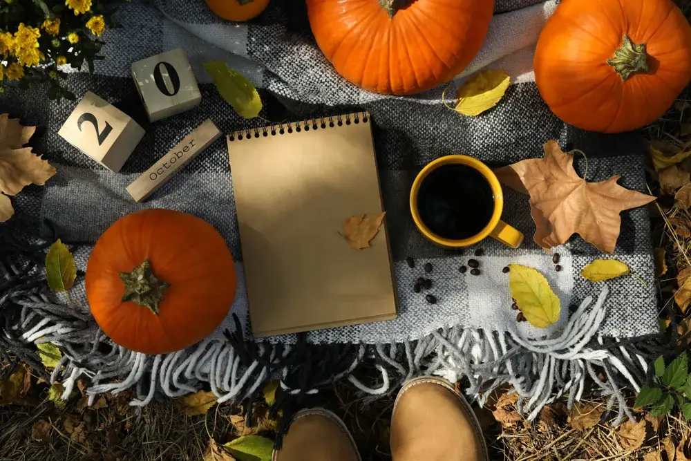 Cozy and Fun Fall Activities