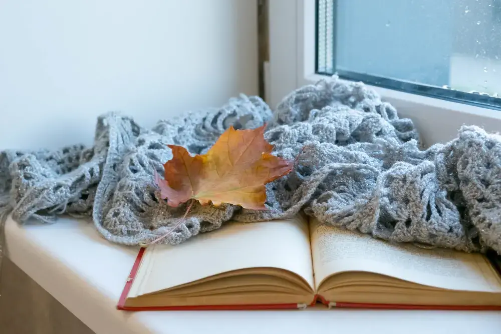 Cozy reading nook