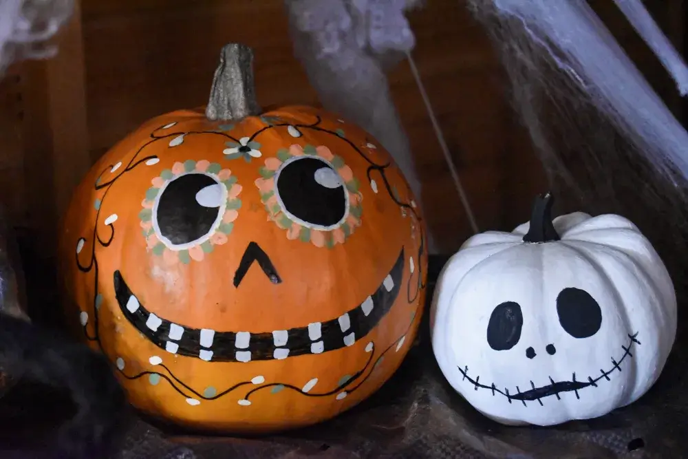paint pumpkins