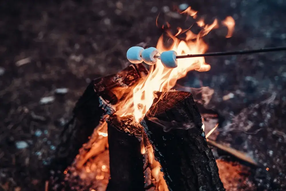 Cozy fire with s'mores