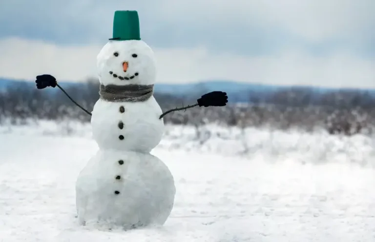 Build a Snowman, Winter bucket list