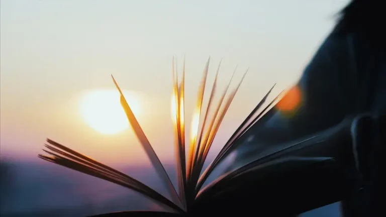 Best Mindset books to read