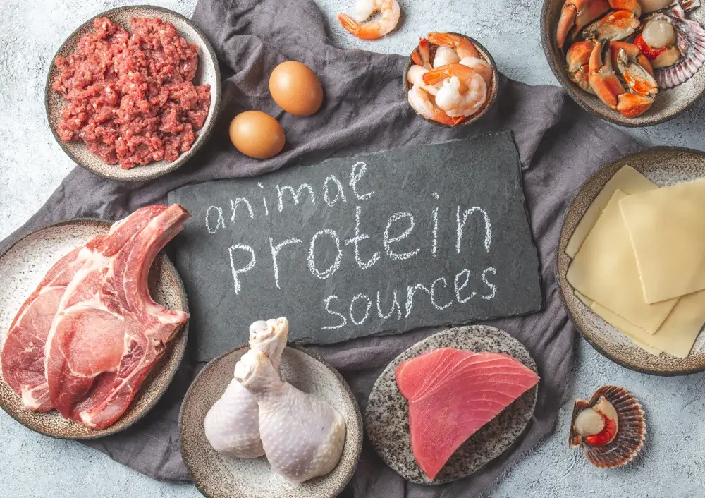Animal protein sources