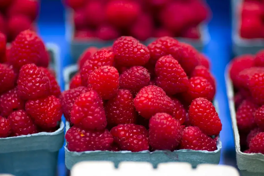 Raspberries, fruits high in fiber 