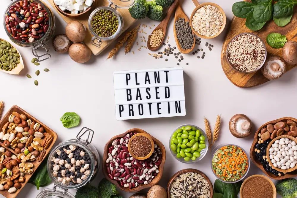 Plant-based protein