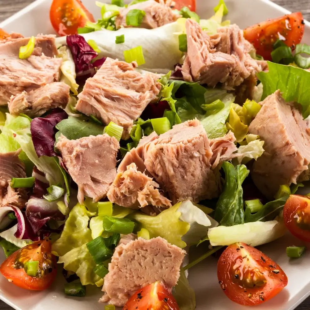 Tuna salad over greens