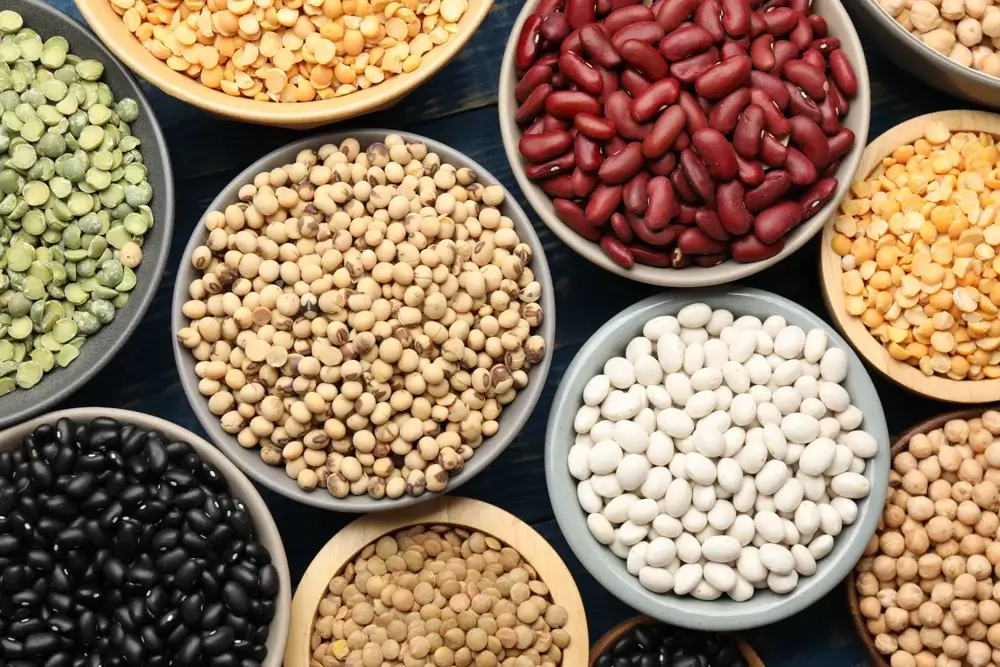 Legumes