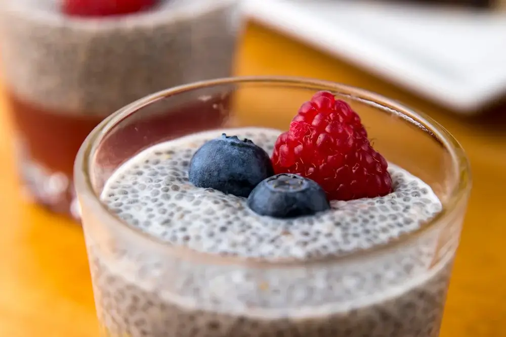 Chia Seed Pudding with Coconut Milk