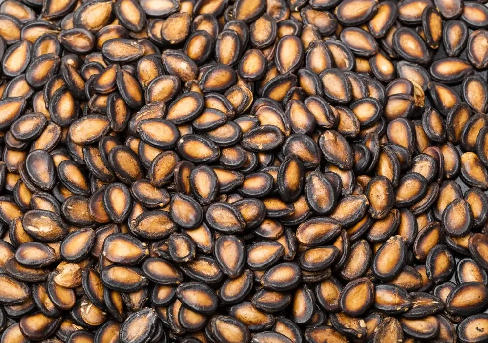 Watermelon Seeds