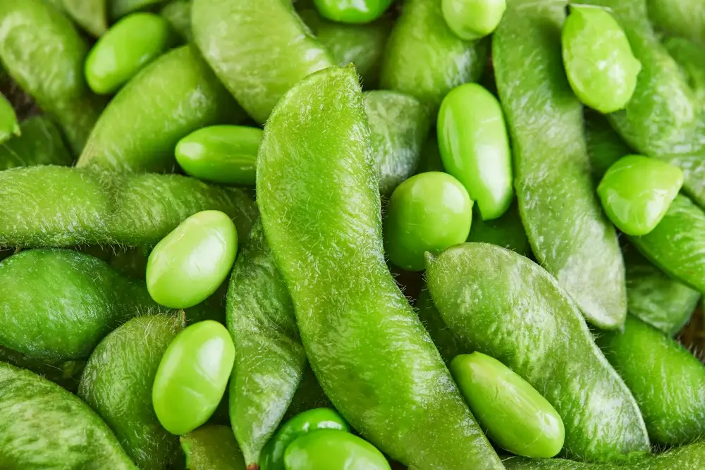 Edamame