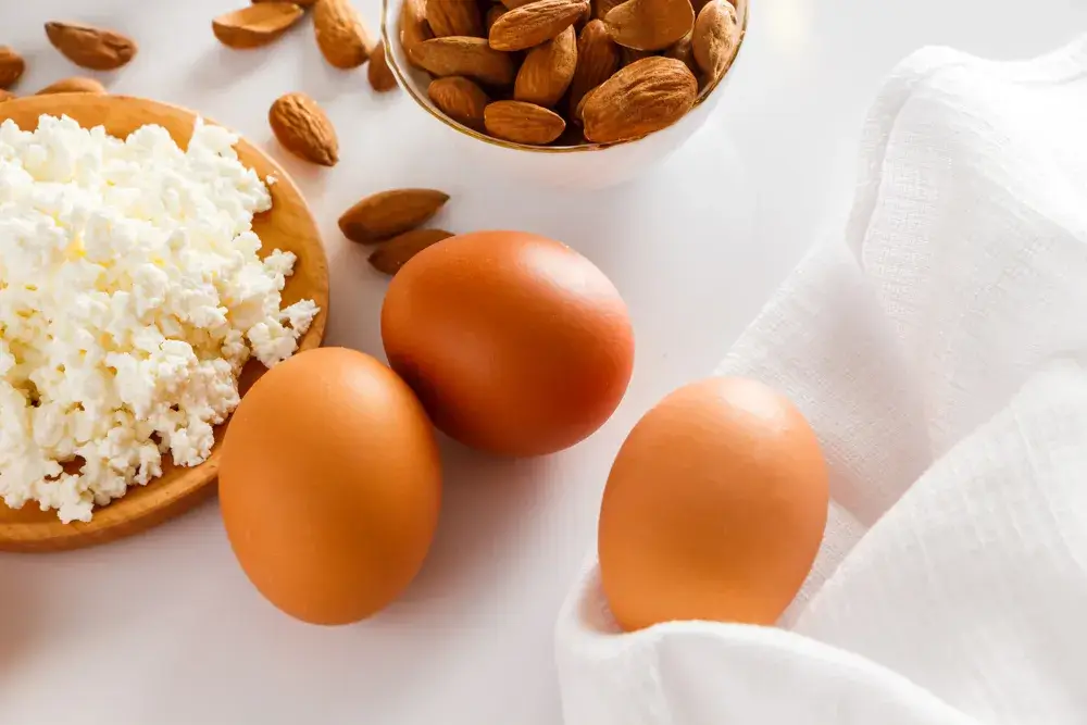 High protein meal plan