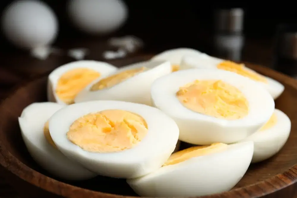 hugh-protein snacks