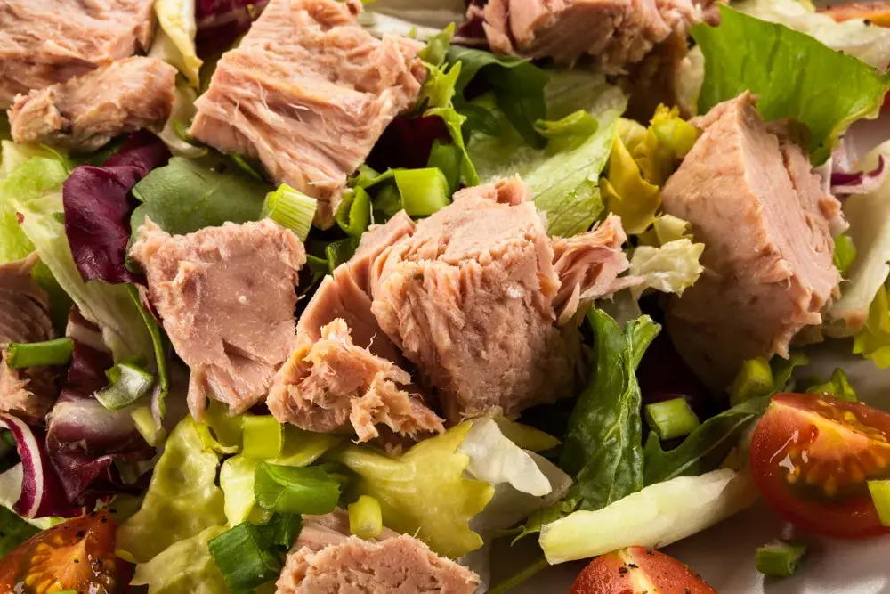Tuna Salad